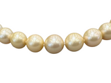 Golden South Sea Pearl Necklace