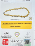 Golden South Sea Pearl Necklace