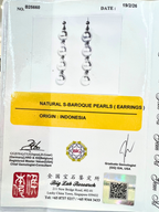 South Sea Pearl Earring