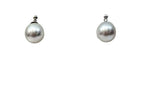 South Sea Pearl Earring-14kwg 13mm