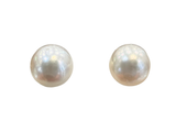 Platinum South Sea Pearl Earring