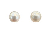 Platinum South Sea Pearl Earring