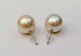 South Sea Pearl Earring-PT900