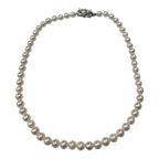 Pearl 6.0-7.0mm Necklace w/Silver Clasp ,39cm