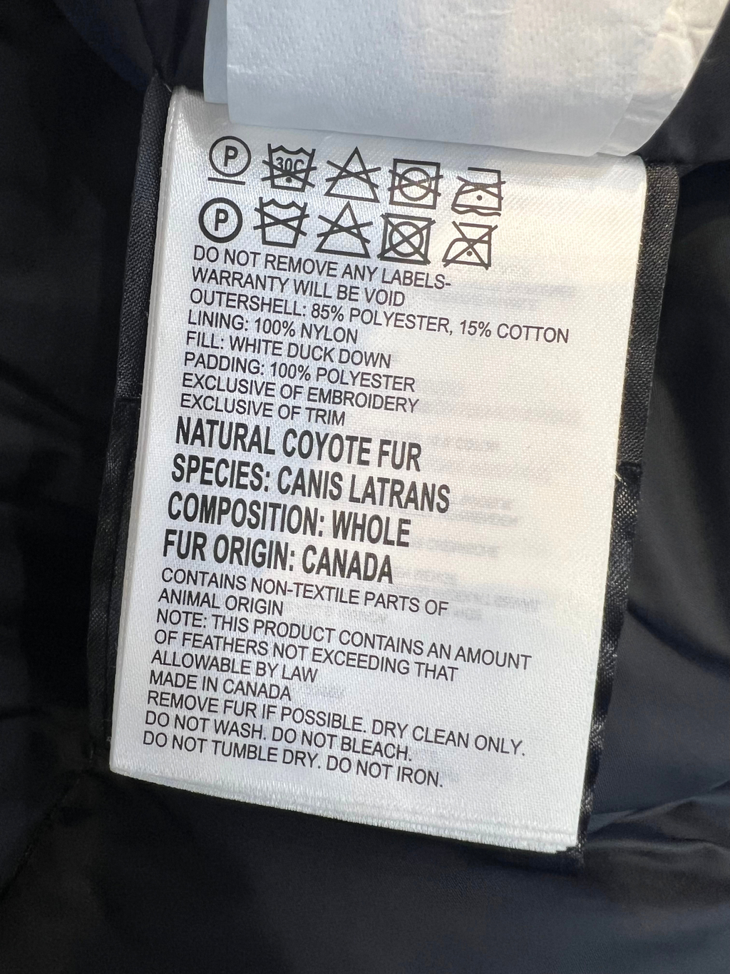 Canada Goose Down Jacket