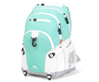 High Sierra Loop Backpack 33L