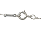 Tiffany & Co Sterling Silver Chain Necklace