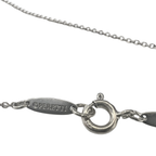 Tiffany & Co Sterling Silver Chain Necklace