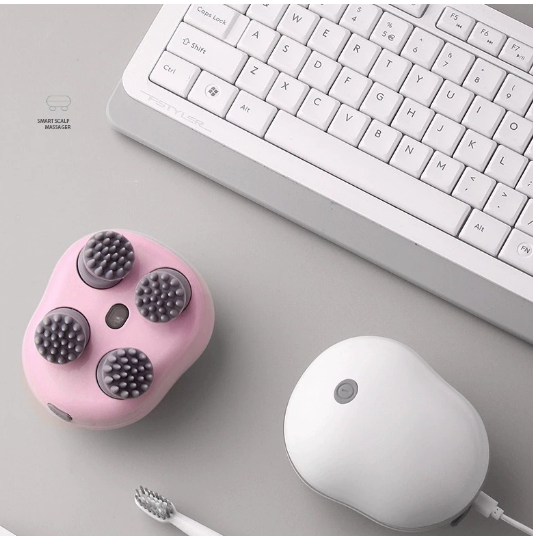 Handheld Massager with 4 Brushes