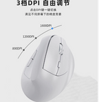 Computer Mouse Ergo