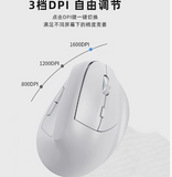 Computer Mouse Ergo