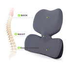 Memory Foam Lumbar Cushion