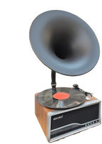 Gramophone With FM Radio And remote Control