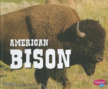 American Bison Main image
