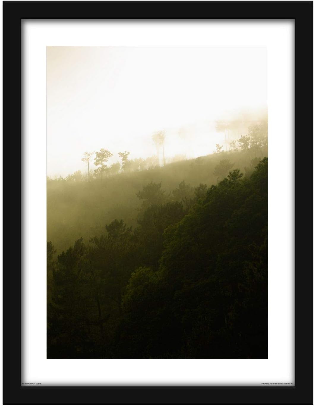 Poster Hub Feng Shui Wood Forest Slop Growth Expansion And Vitality Art Decor Main image