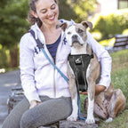 Kurgo TruFit Smart Harness Dog Harness Black XLarge