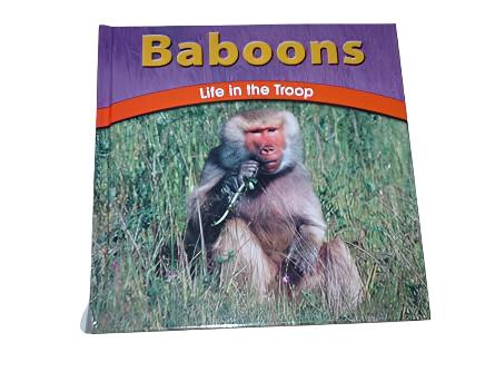 Baboons: Life in the Troop Main image