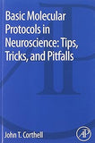 Basic Molecular Protocols in Neuroscience: Tips, Tricks, and Pitfalls Paperback