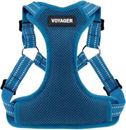 Best Pet Supplies Voyager Adjustable Dog Harness With Reflective Stripes For Walking Jogging HeavyDuty Full Body No Pull Vest With Leash DRing Breathable AllWeather Harness Turquoise S Main image
