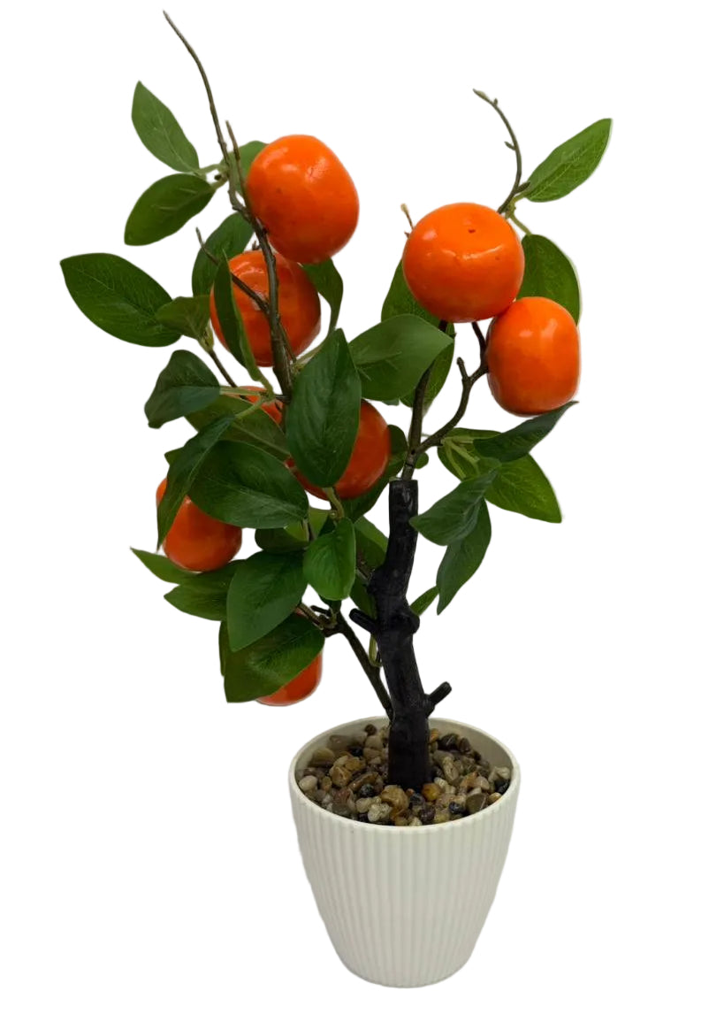 Plant Deco with Fruits Main image