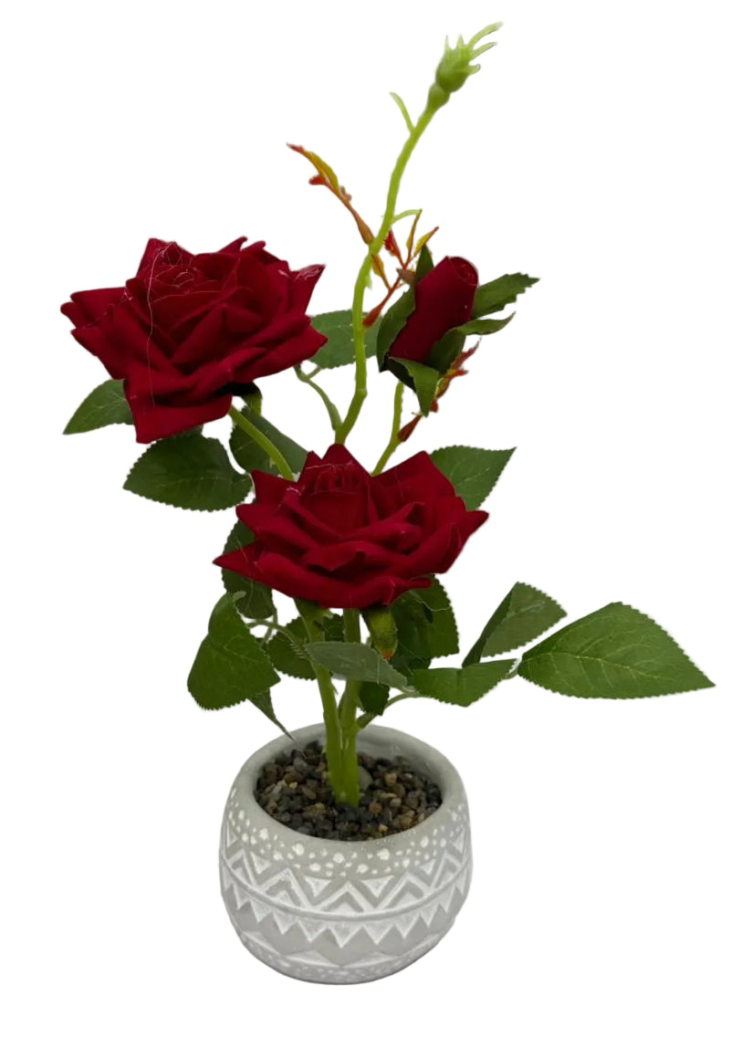 Plant Deco Roses 3 Piece Set