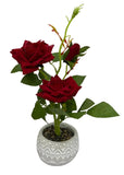 Plant Deco Roses 3 Piece Set