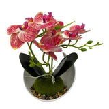 Plant Deco Orchids