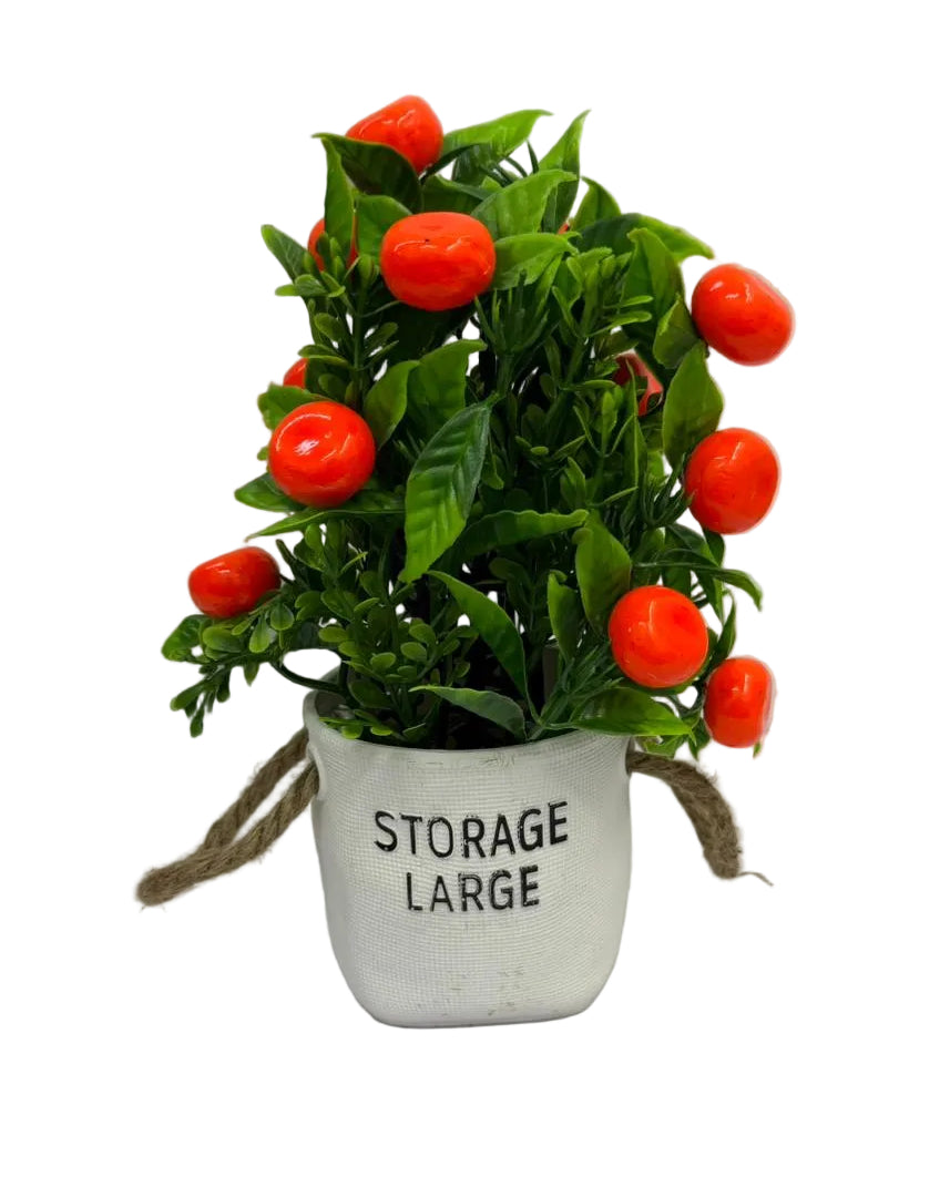 Plant Deco Tangerine Plant Main image