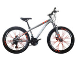 Dinos 26 Inch Mountain Bike with Multi Spoke Wheels