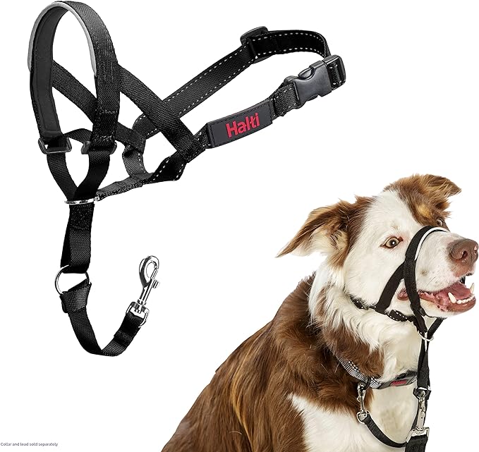 Company of Animals - Halti Headcollar, Black, Size 2 Main image