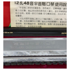 Skylark Chromatic Harmonica