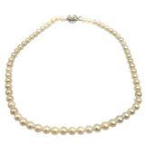 White Pearl Necklace