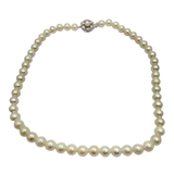 Natural Pearl Necklace with Silver Clasp