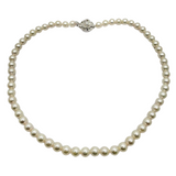 Akoya Pearl Necklace