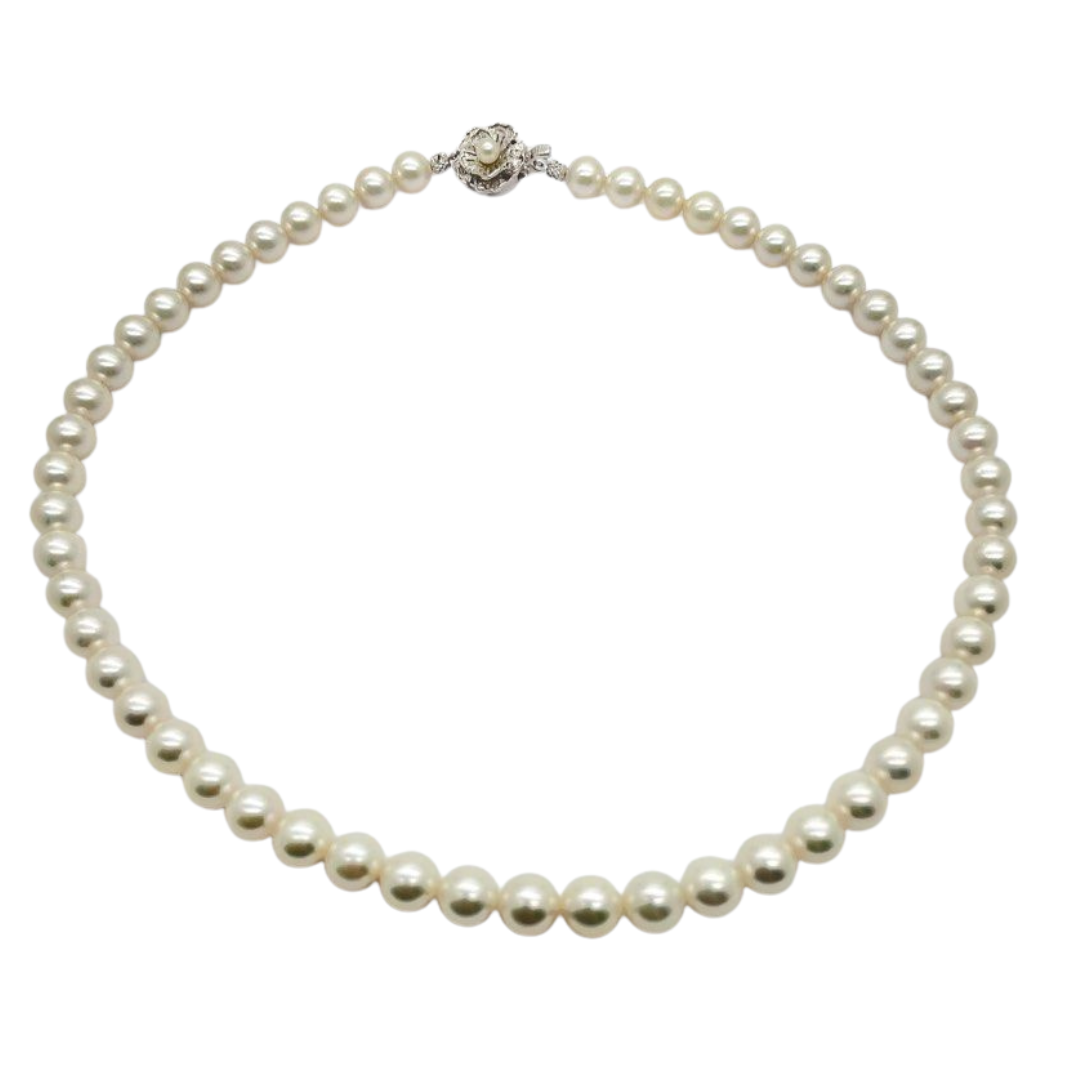 Akoya Pearl Necklace w/Silver Clasp