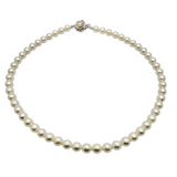 Akoya Pearl Necklace w/Silver Clasp