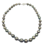 Natural Black South Sea Pearl Necklace, Silver Clasp