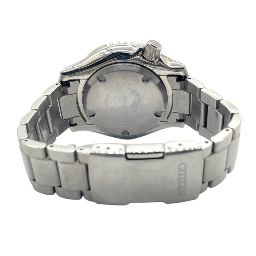 Citizen Fugu Marine Worldwide Limited Edition Pro Master 42mm Automatic Black Dial Watch