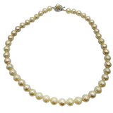 Akoya Pearl Necklace
