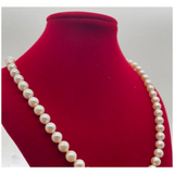 Akoya Pearl Necklace 925 Silver Clasp