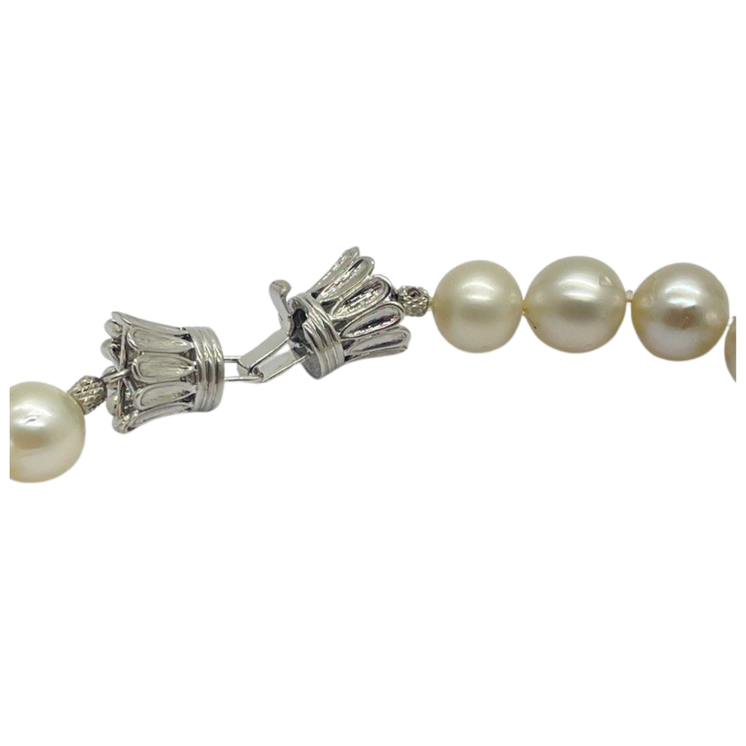 Natural White South Sea Pearl Necklace with Silver Clasp