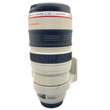 Canon EF 100-400mm f/4.5-5.6L IS USM Lens (LENS FUNGUS)