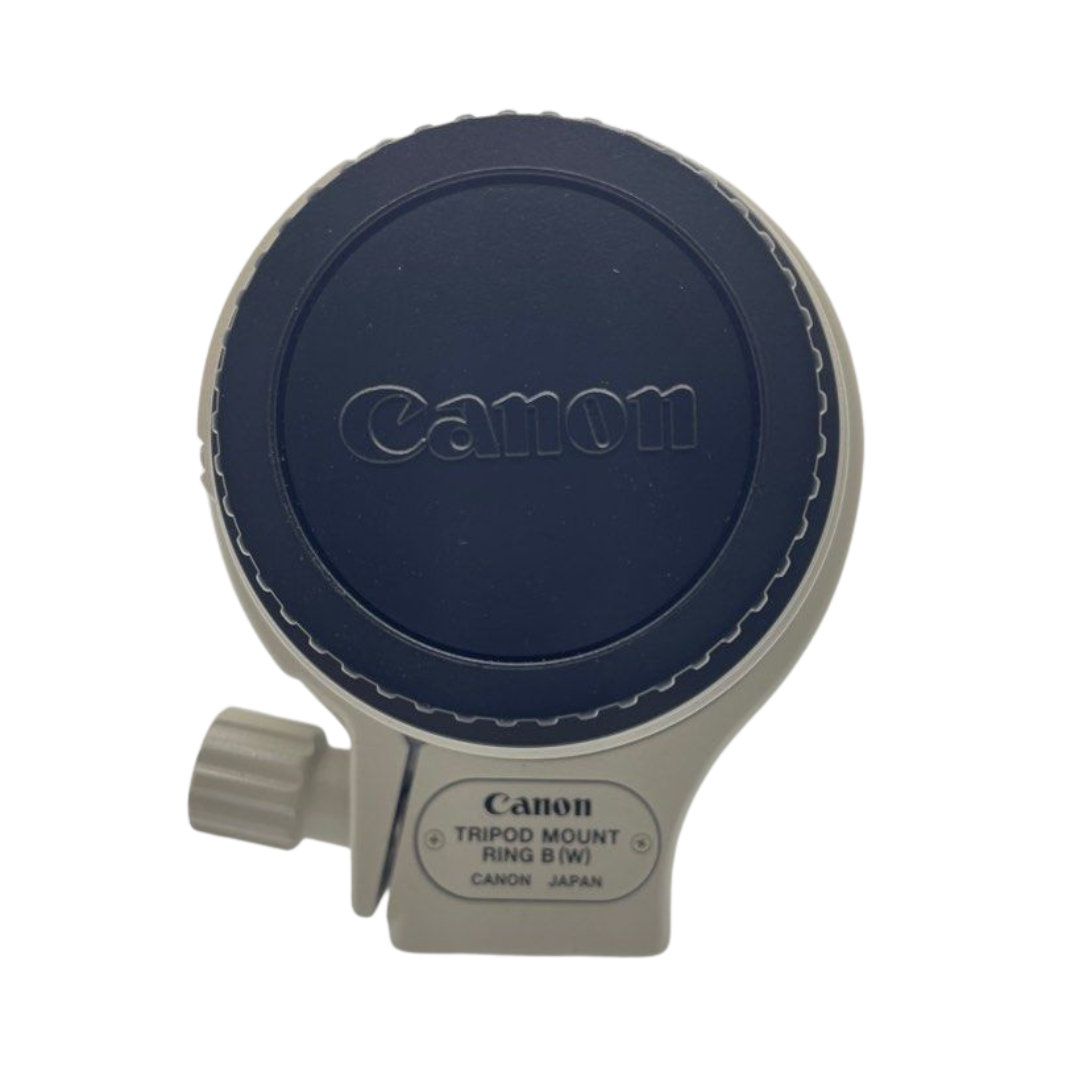 Canon EF 100-400mm f/4.5-5.6L IS USM Lens (LENS FUNGUS)