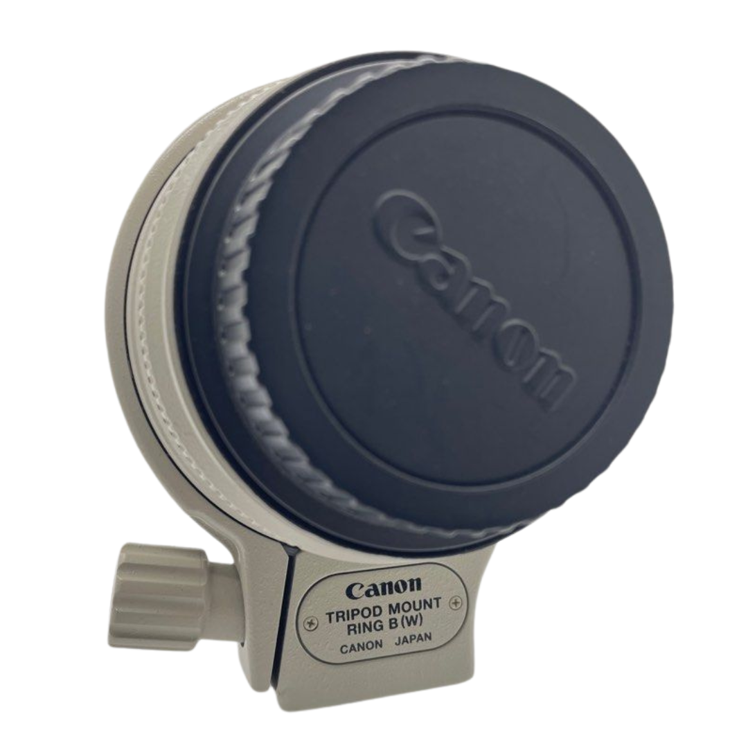 Canon EF 70-200mm f/2.8L IS USM Lens (LENS FUNGUS)