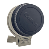 Canon EF 70-200mm f/2.8L IS USM Lens (LENS FUNGUS)