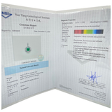 PT900 Natural Emerald (Colombia) & Diamond Pendant