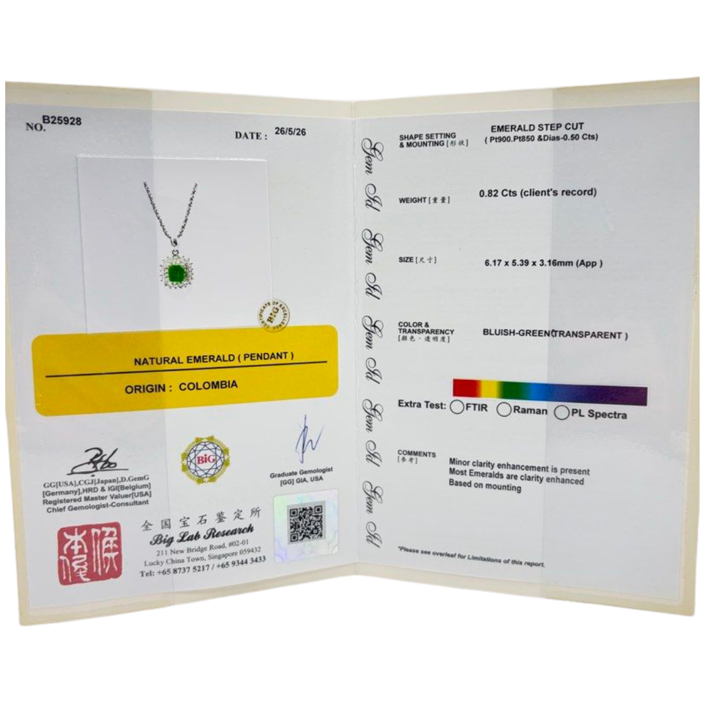 PT850/900 Natural Emerald (Colombia) & Diamond Necklace