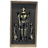 Sideshow Collectibles Star Wars - General Grievous Sixth Scale Action Figure, 16-Inch Height