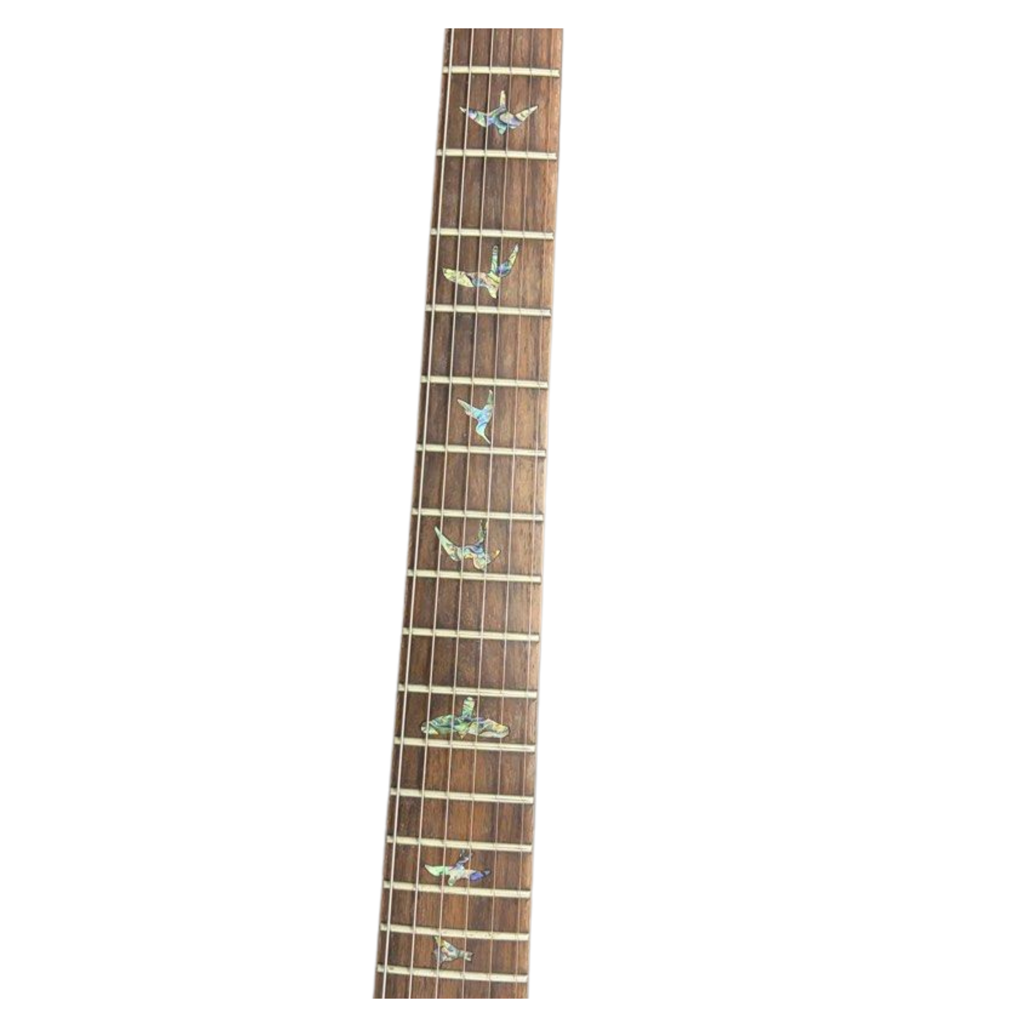 PRS SE Paul Electric Guitar with Bag