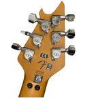 EVH Wolfgang Special Electric Guitar
